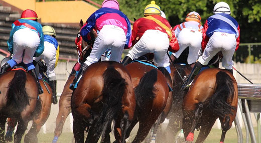 投稿画像 競走馬について知ろう - 競走馬について知ろう
